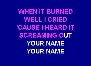 WHEN IT BURNED
WELL I CRIED
'CAUSE I HEARD IT
SCREAMING OUT
YOUR NAME

YOUR NAME I