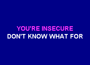 YOU'RE INSECURE

DON'T KNOW WHAT FOR