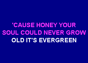 'CAUSE HONEY YOUR
SOUL COULD NEVER GROW
OLD IT'S EVERGREEN