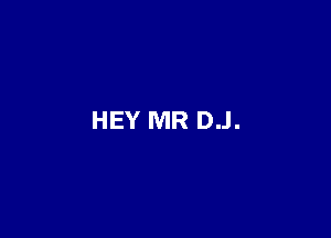 HEY MR DJ.