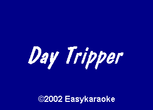 Day Tripper

(92002 Easykaraoke