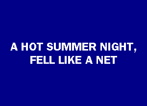 A HOT SUMMER NIGHT,

FELL LIKE A NET