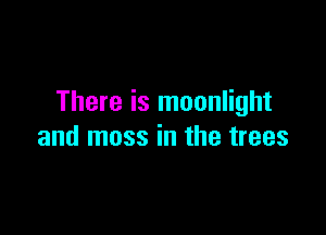 There is moonlight

and moss in the trees