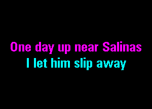 One day up near Salinas

I let him slip away