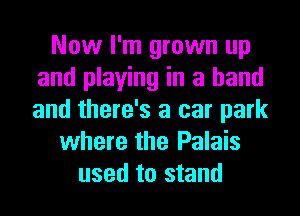 Now I'm grown up
and playing in a hand
and there's a car park

where the Palais
used to stand