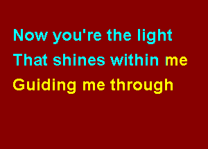 Now you're the light
That shines within me

Guiding me through