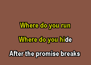 Where do you run

Where do you hide

After the promise breaks