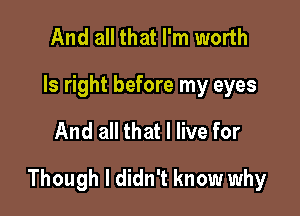 And all that I'm worth
ls right before my eyes

And all that I live for

Though I didn't know why