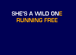 SHE'S A WILD ONE
RUNNING FREE
