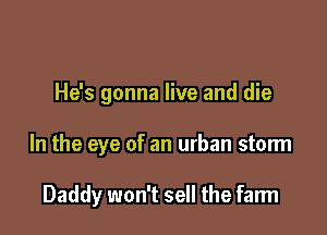 He's gonna live and die

In the eye of an urban storm

Daddy won't sell the farm