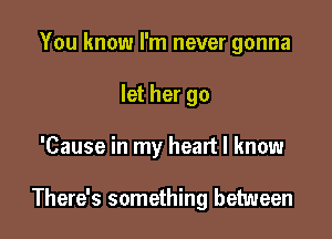 You know I'm never gonna
let her go

'Cause in my heart I know

There's something between