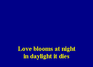 Love blooms at night
in daylight it dies
