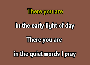 There you are
in the early light of day

There you are

in the quiet words I pray