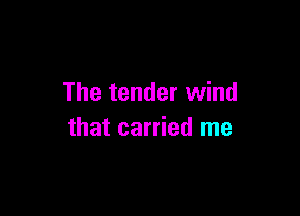 The tender wind

that carried me