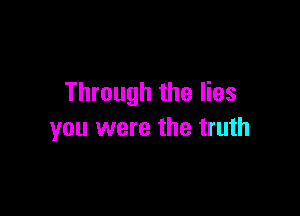 Through the lies

you were the truth
