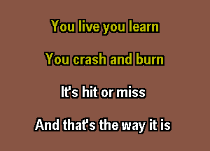 You live you learn
You crash and burn

It's hit or miss

And thafs the way it is