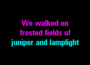We walked on

frosted fields of
iuniper and lamplight