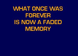 WHAT ONCE WAS
FOREVER
IS NOW A FADED

MEMORY