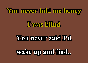 You never told me honey
I was blind

You never said I'd

wake up and f1nd..