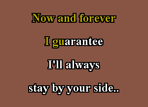 Now and forever

I guarantee

I'll always

stay by your side..