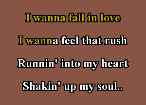 I wanna fall in love
I wanna feel that rush
Runnin' into my heart

Shakin' up my 50111..