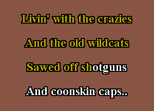 Livin' with the crazies
And the old Wildcats
Sawed off shotguns

And coonskin caps..