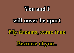 You and I
will never be apart

My dreams, came true

Because of you..