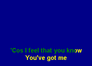 'Cos I feel that you know
You've got me