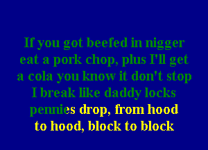 If you got beefed in nigger
eat a pork chop, plus I'll get
a cola you knowr it don't stop

I break like daddy locks
pemlies drop, from hood
to hood, block to block