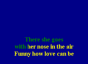 There she goes
with her nose in the air
Furmy how love can be