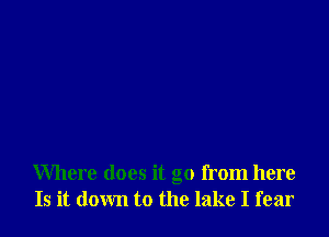 Where does it go from here
Is it down to the lake I fear