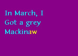 In March, I
Got a grey

Mackinaw
