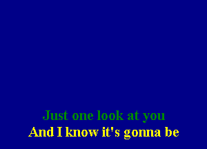 Just one look at you
And I know it's gonna be