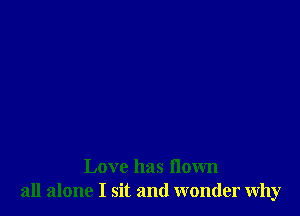 Love has flown
all alone I sit and wonder Why