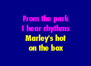 From the pmk
I hear rhythms

Marley's hot
on Ihe box