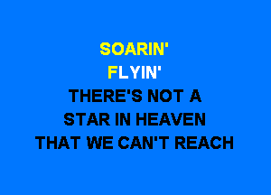 SOARIN'
FLYIN'