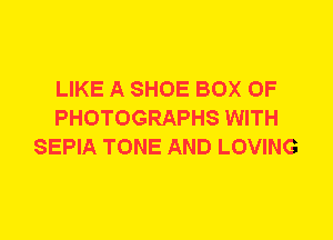 LIKE A SHOE BOX 0F
PHOTOGRAPHS WITH
SEPIA TONE AND LOVING