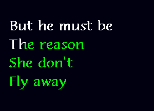 But he must be
The reason

She don't
Fly away