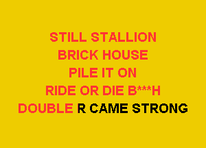 STILL STALLION
BRICK HOUSE
PILE IT ON
RIDE OR DIE Bij
DOUBLE R CAME STRONG