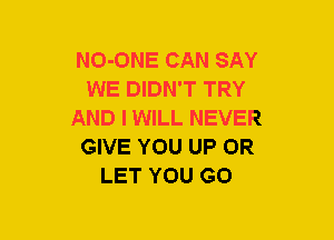 NO-ONE CAN SAY
WE DIDN'T TRY
AND I WILL NEVER
GIVE YOU UP OR
LET YOU GO