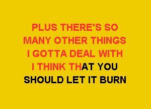 PLUS THERE'S SO
MANY OTHER THINGS
I GOTTA DEAL WITH
I THINK THAT YOU
SHOULD LET IT BURN