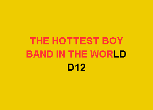 THE HOTTEST BOY
BAND IN THE WORLD
D12