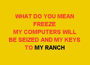 WHAT DO YOU MEAN
FREEZE
MY COMPUTERS WILL
BE SEIZED AND MY KEYS
TO MY RANCH