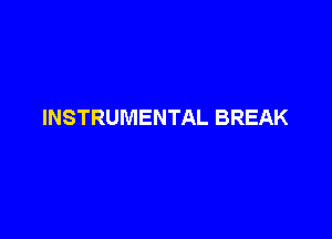 INSTRUMENTAL BREAK