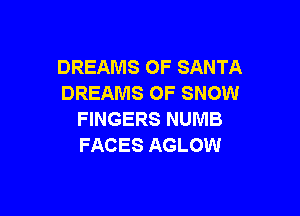DREAMS OF SANTA
DREAMS OF SNOW

FINGERS NUMB
FACES AGLOW