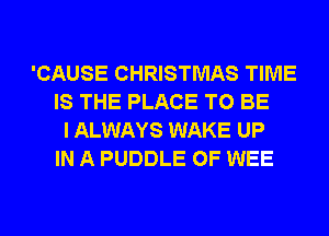 'CAUSE CHRISTMAS TIME
IS THE PLACE TO BE
I ALWAYS WAKE UP
IN A PUDDLE 0F WEE