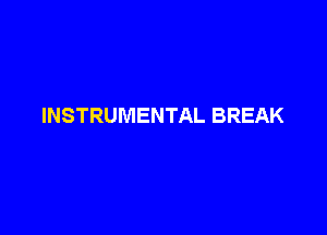 INSTRUMENTAL BREAK