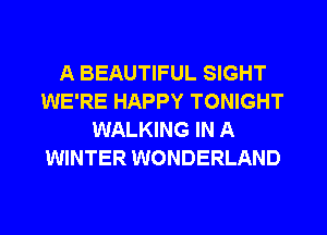 A BEAUTIFUL SIGHT
WE'RE HAPPY TONIGHT
WALKING IN A
WINTER WONDERLAND