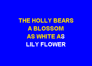 THE HOLLY BEARS
A BLOSSOM

AS WHITE AS
LILY FLOWER