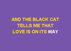 AND THE BLACK CAT

TELLS ME THAT
LOVE IS ON ITS WAY